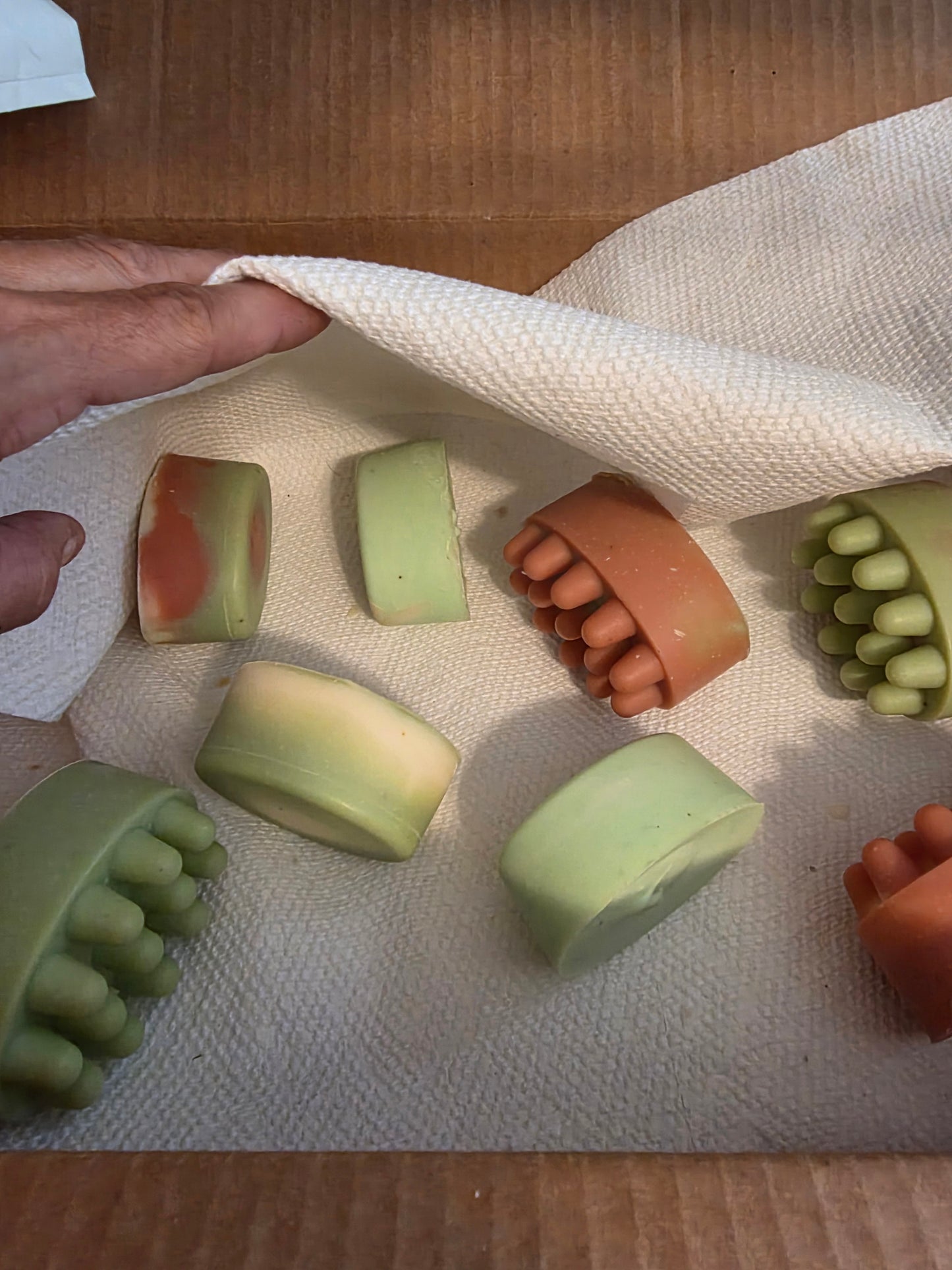 Eucalyptus Cactus~ shampoo bars