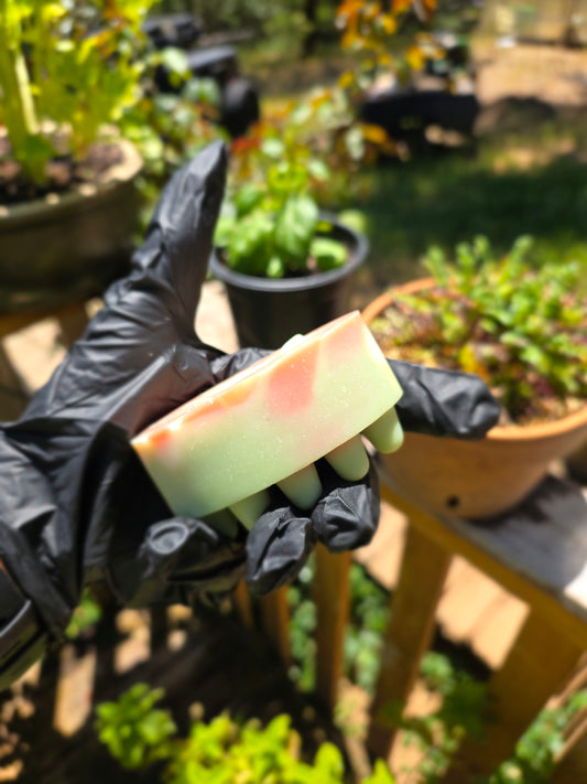 Eucalyptus Cactus~ shampoo bars