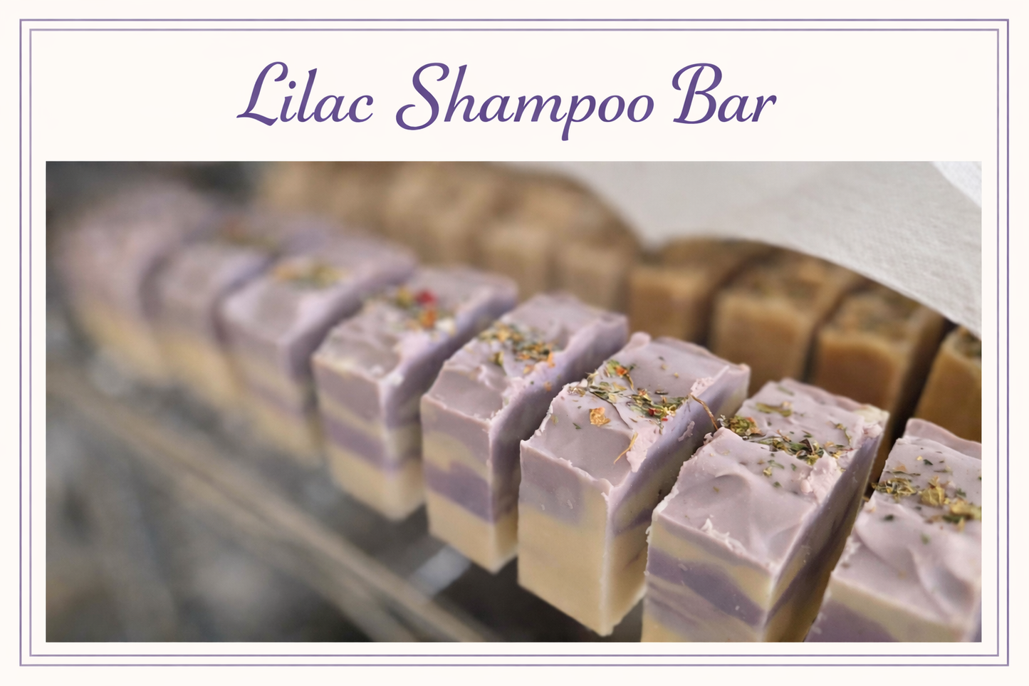 Shampoo bars!