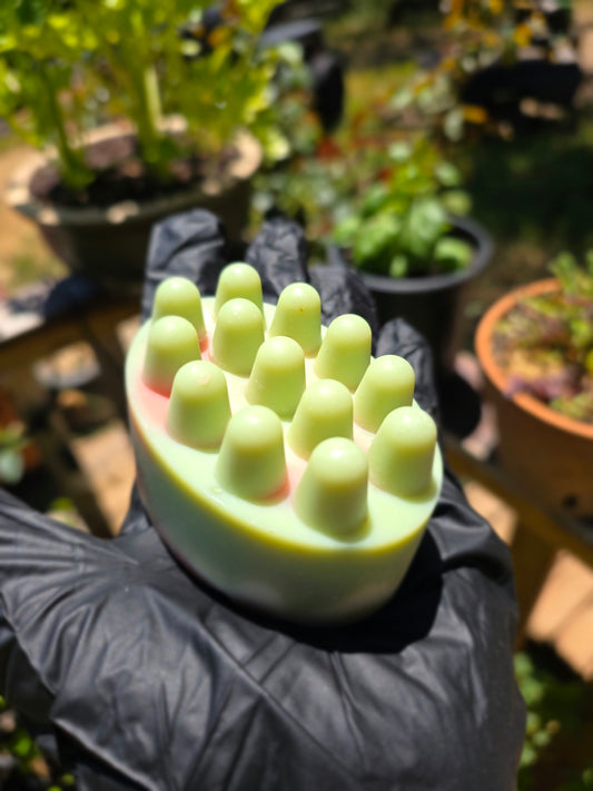 Eucalyptus Cactus~ shampoo bars